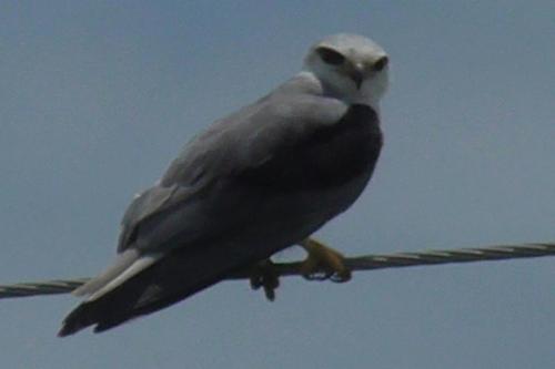 WhatsApp Image 2020-12-22 at 11.23.34 AM