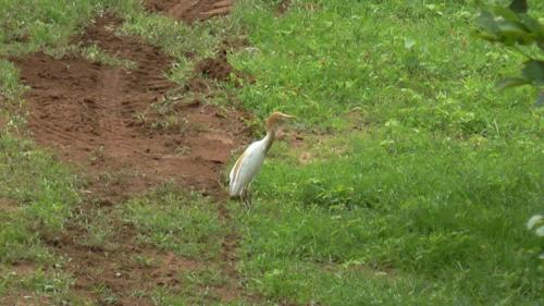 WhatsApp Image 2020-12-22 at 11.23.34 AM (1)