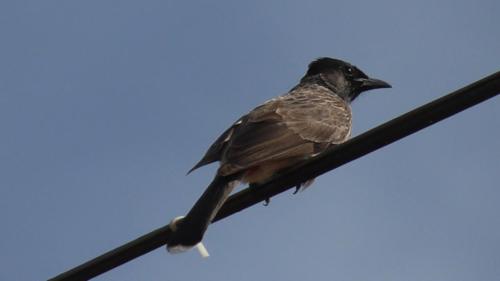 WhatsApp Image 2020-12-22 at 11.23.35 AM