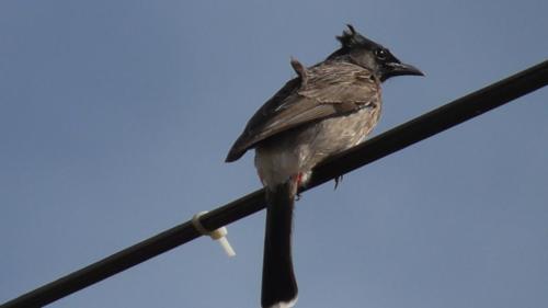 WhatsApp Image 2020-12-22 at 11.23.35 AM (1)