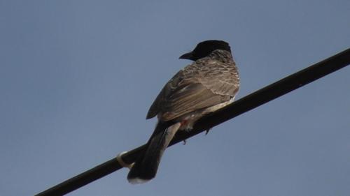 WhatsApp Image 2020-12-22 at 11.23.35 AM (2)