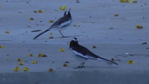 WhatsApp Image 2020-12-22 at 11.23.36 AM