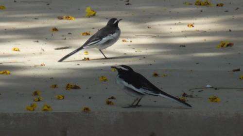 WhatsApp Image 2020-12-22 at 11.23.37 AM