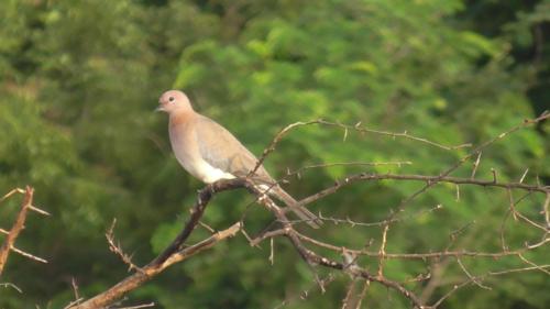 WhatsApp Image 2020-12-22 at 11.23.37 AM (1)