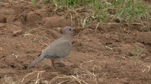 WhatsApp Image 2020-12-22 at 11.23.37 AM (2)