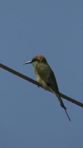 WhatsApp Image 2020-12-22 at 11.23.38 AM