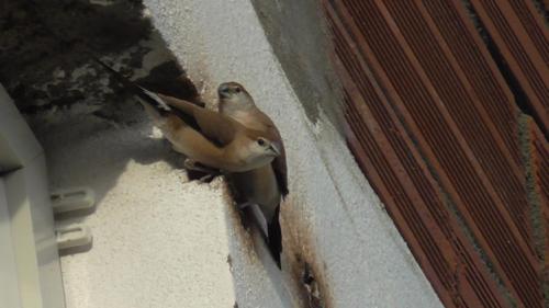 WhatsApp Image 2020-12-22 at 11.23.42 AM