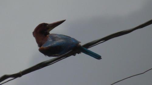 WhatsApp Image 2020-12-22 at 11.23.42 AM (1)