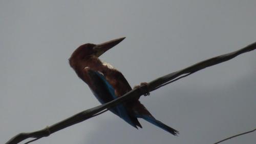 WhatsApp Image 2020-12-22 at 11.23.43 AM