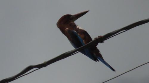 WhatsApp Image 2020-12-22 at 11.23.43 AM (1)